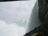 Nikita+Lenore Wedding Toronto - 180 